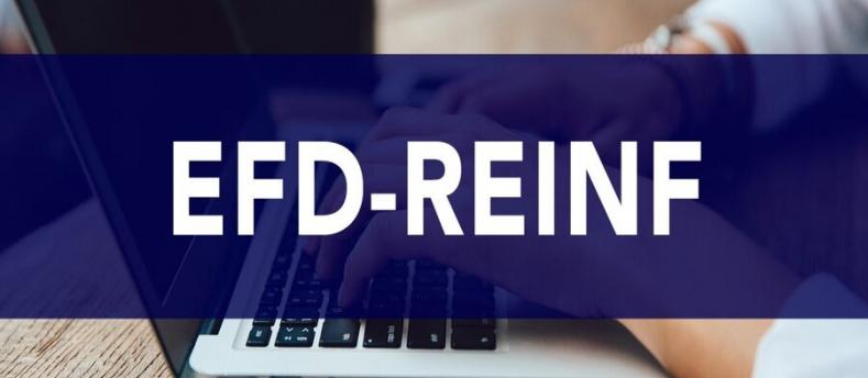 Tudo o que você precisa saber sobre a EFD-Reinf